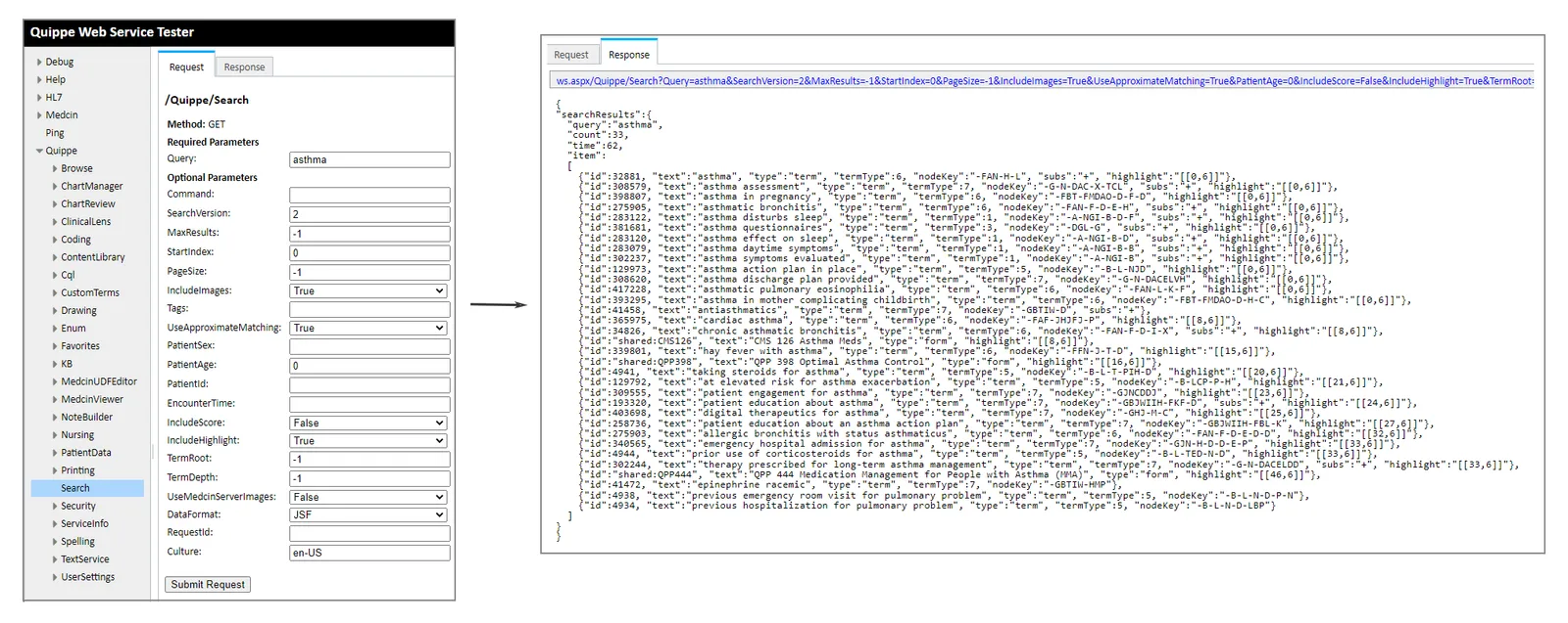 Search Web Service